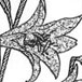 4R}}K